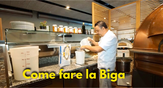 COME FARE LA BIGA - piashoponline